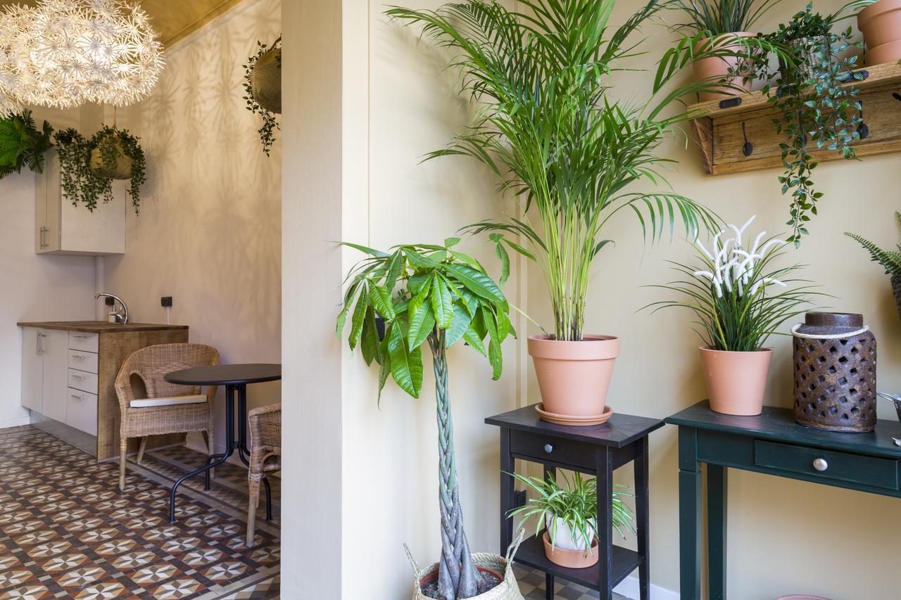 Casa Maca Barcelona (Adults Only) Hotell Exteriör bild